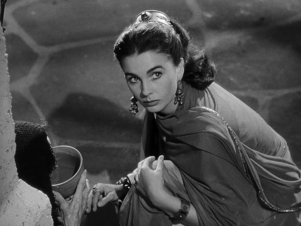 アンドロクレスと獅子（ライオン）の画像