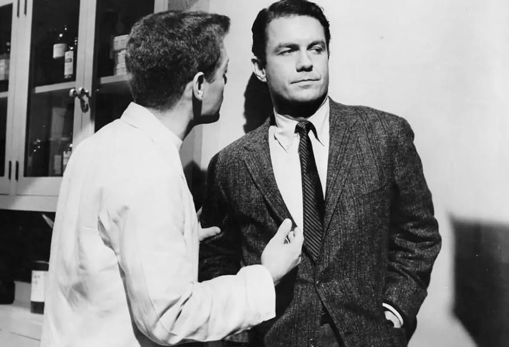 インターンの画像