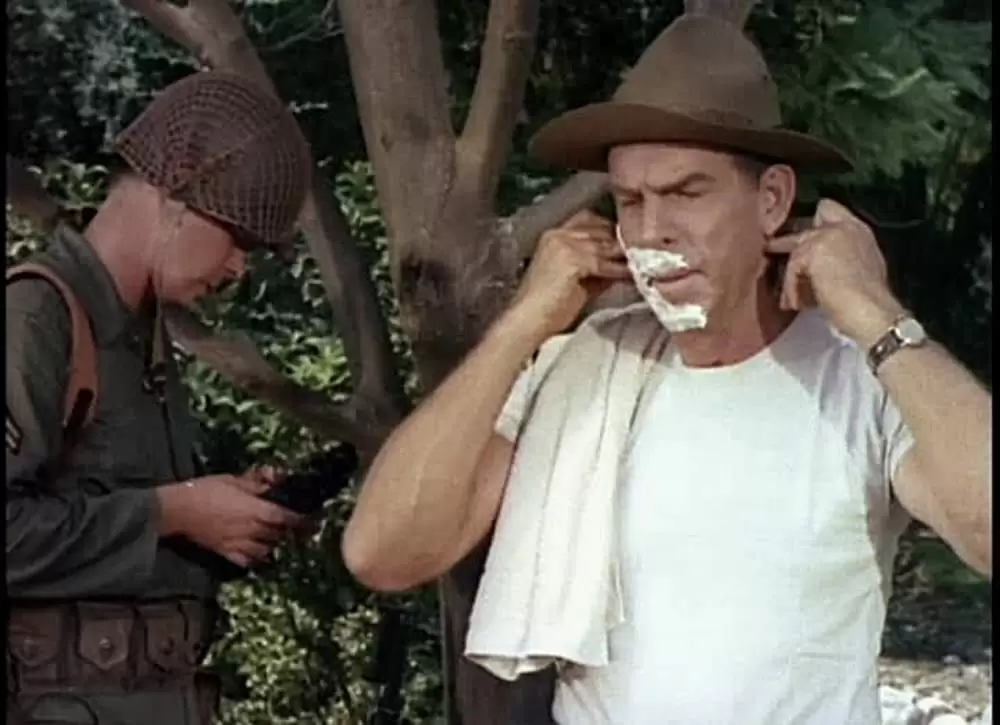 歌声は青空高くの画像