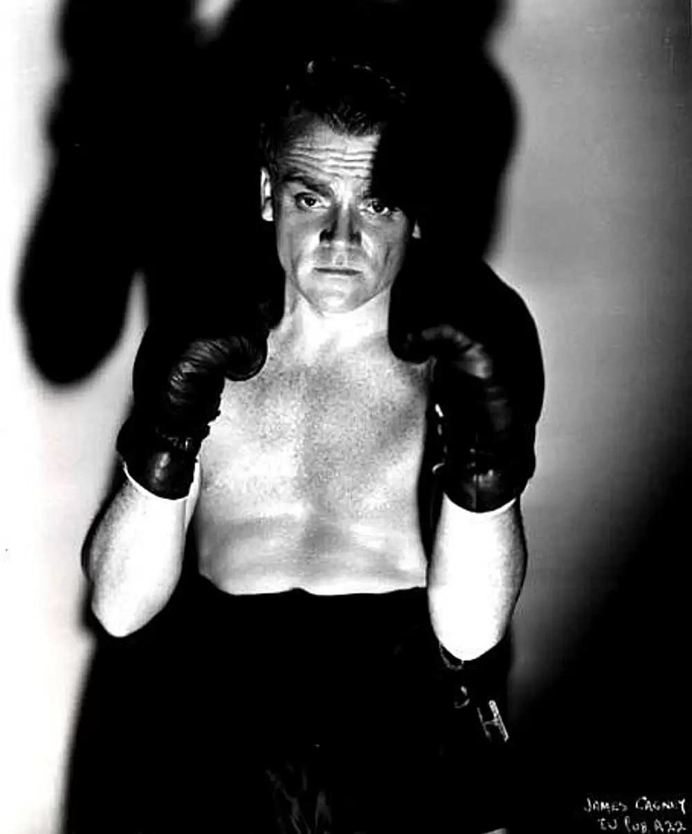 栄光の都の画像