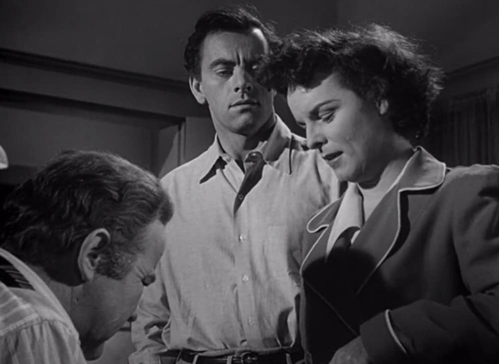 オール・ザ・キングスメンの画像