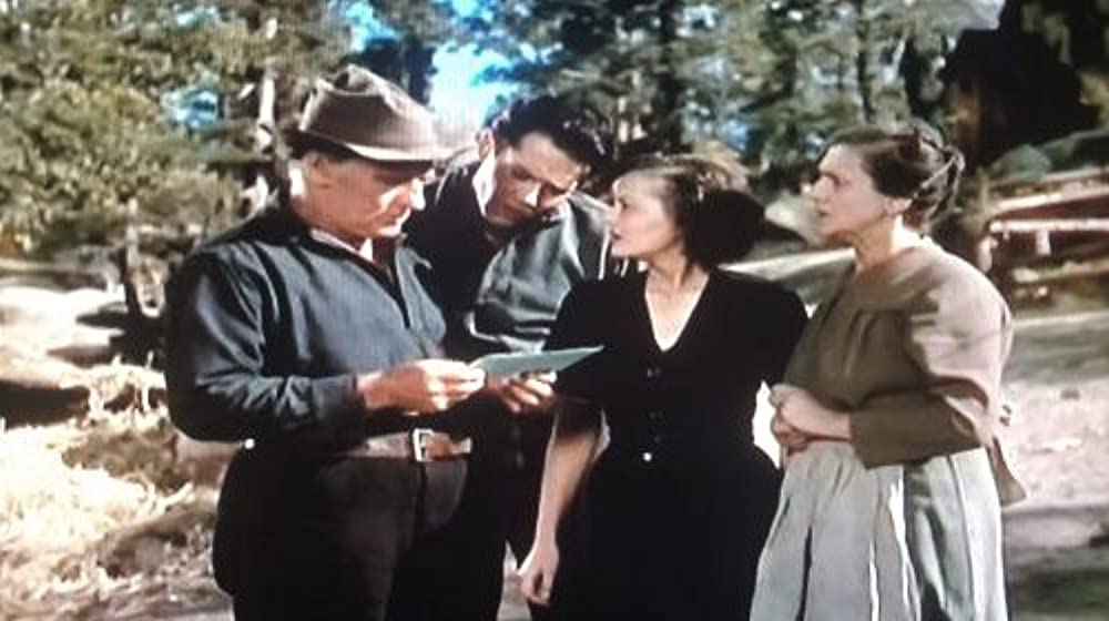 丘の一本松の画像