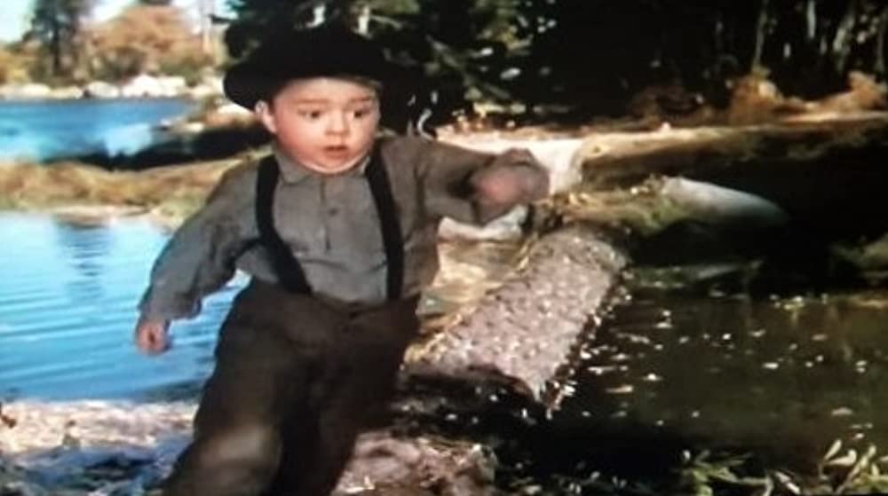 丘の一本松の画像