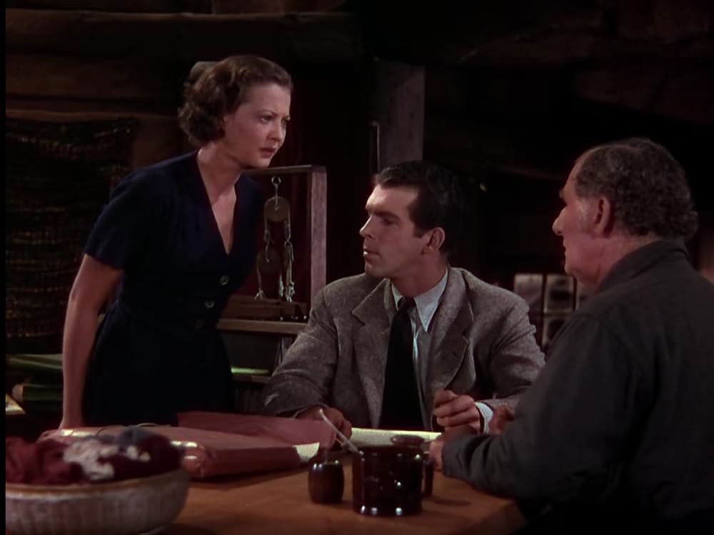 丘の一本松の画像