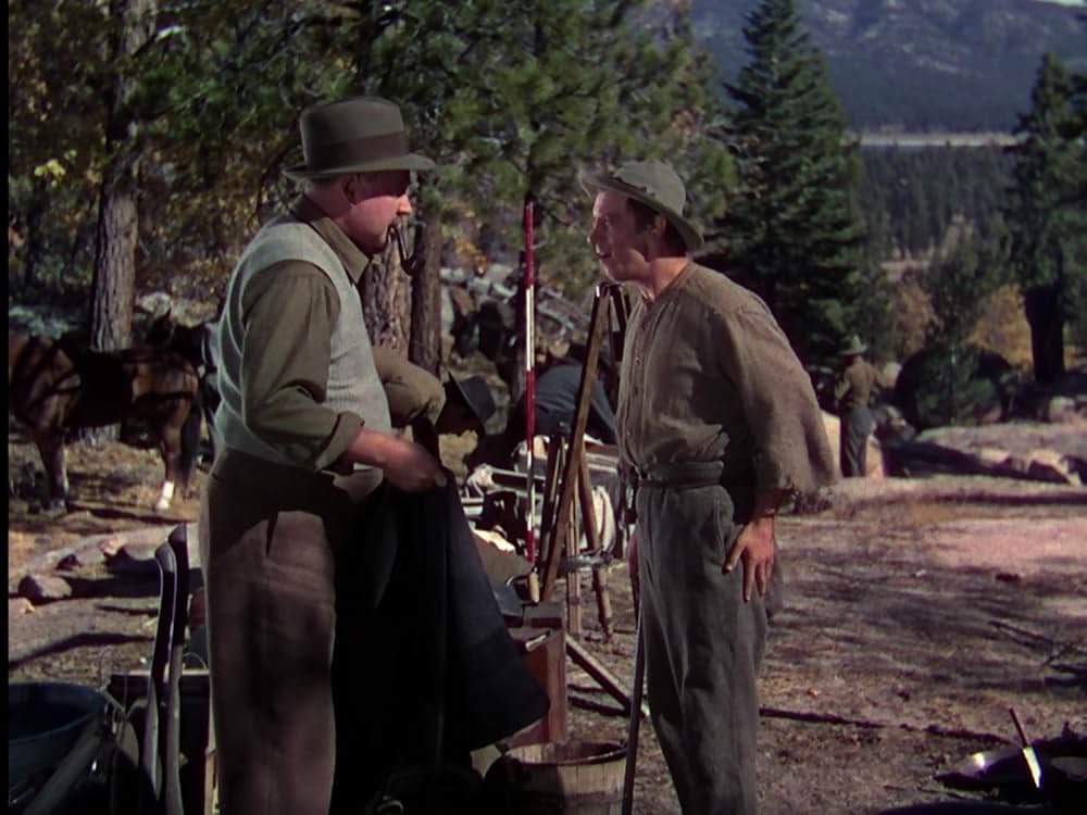 丘の一本松の画像