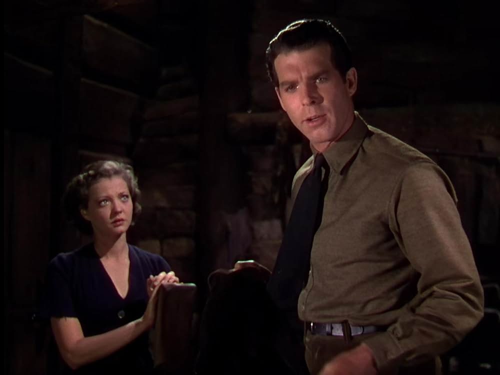 丘の一本松の画像