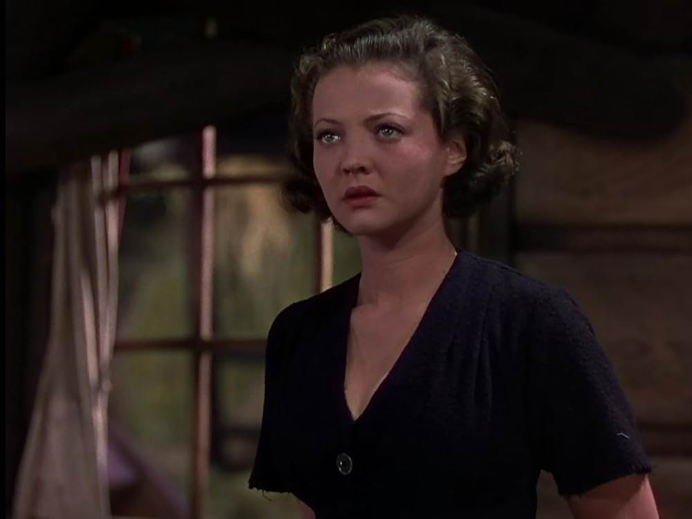 丘の一本松の画像