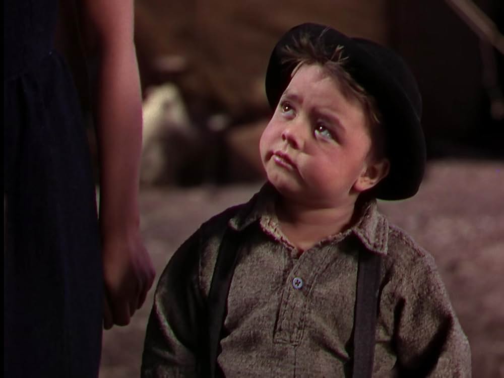 丘の一本松の画像