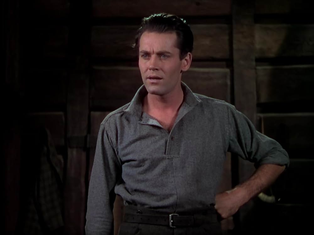 丘の一本松の画像