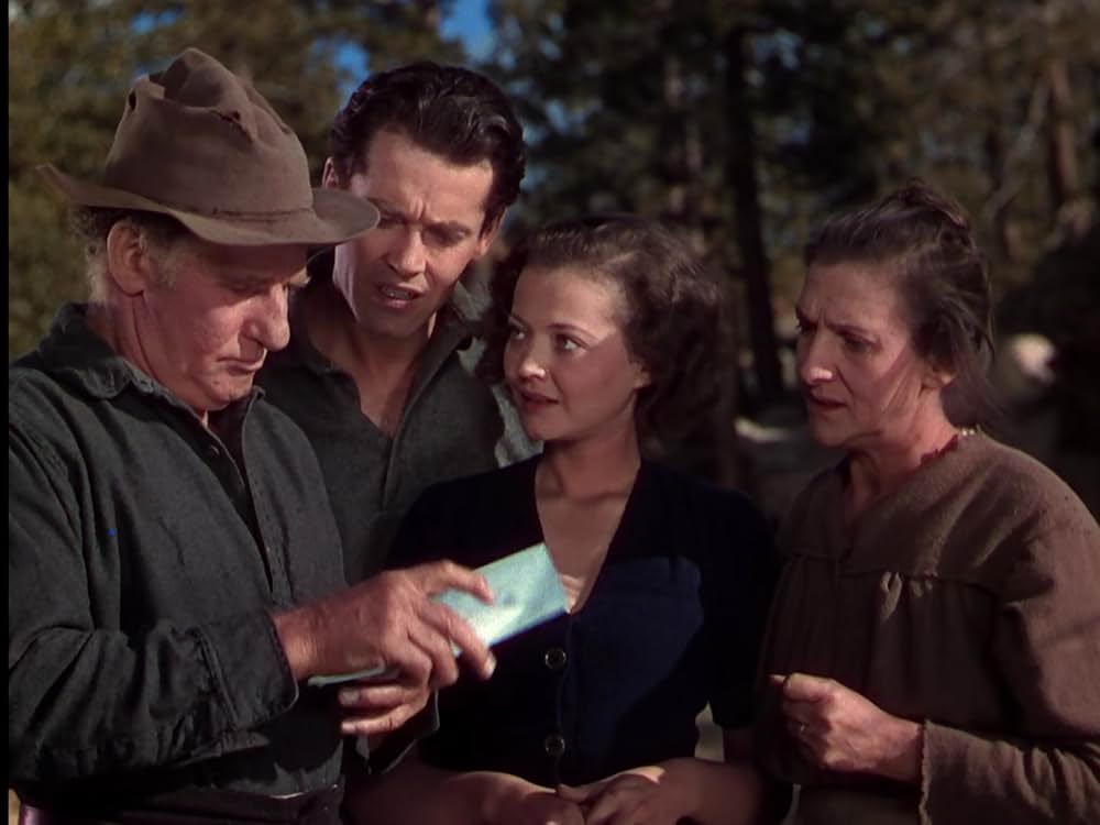 丘の一本松の画像