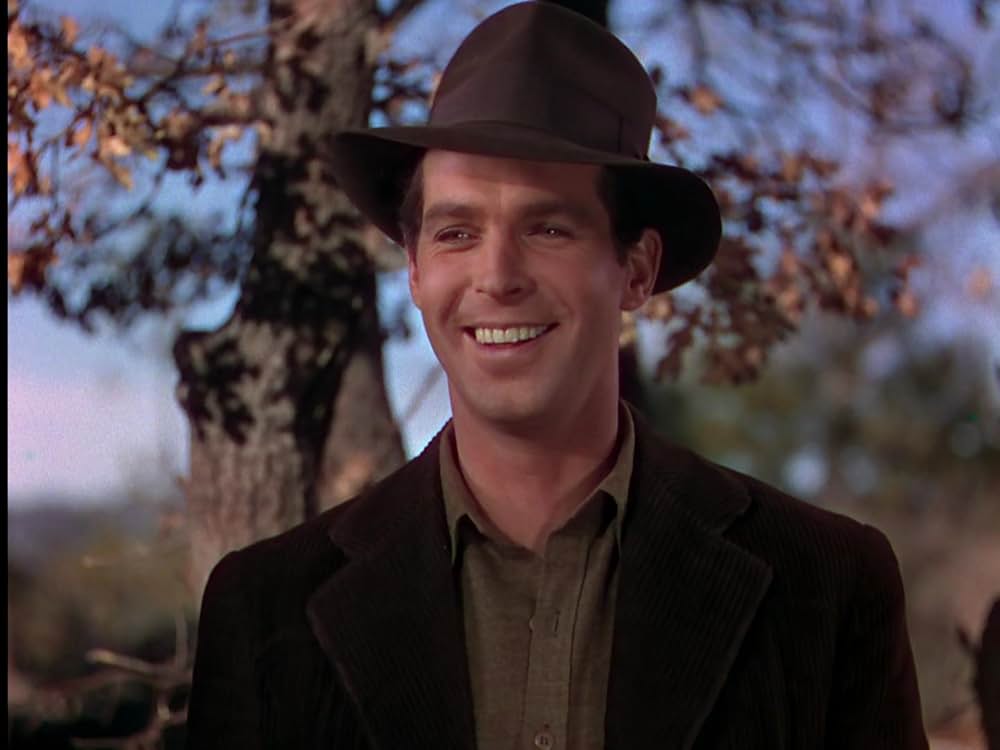 丘の一本松の画像