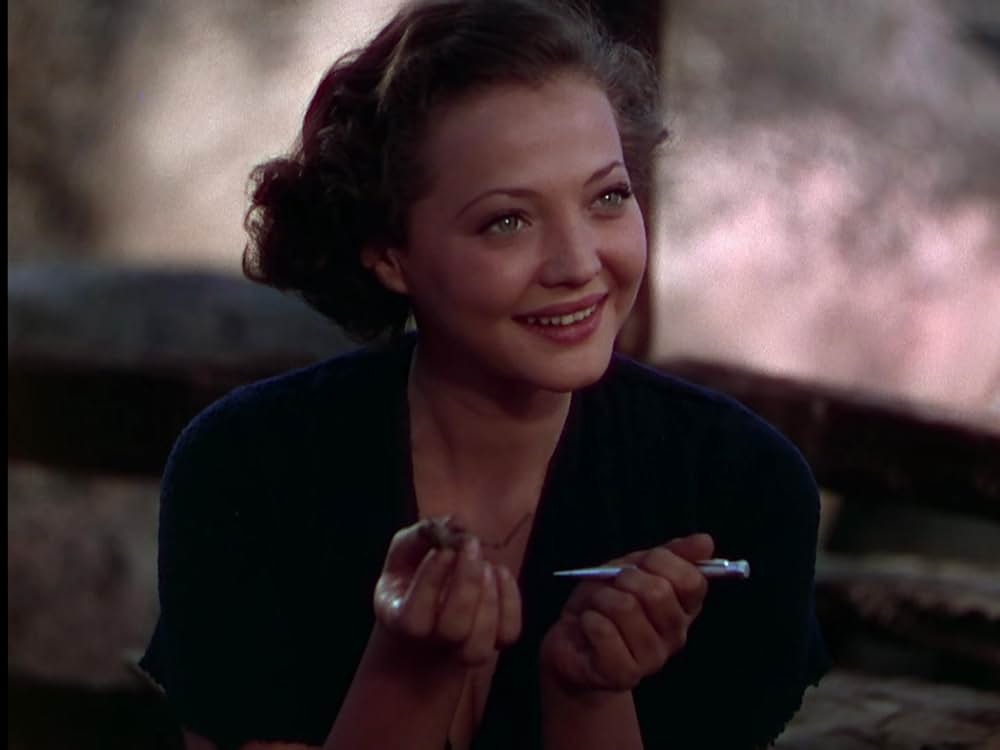 丘の一本松の画像