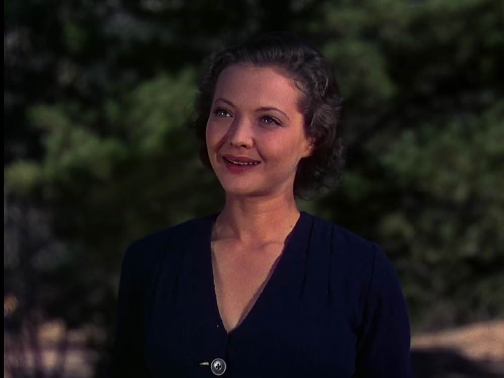 丘の一本松の画像