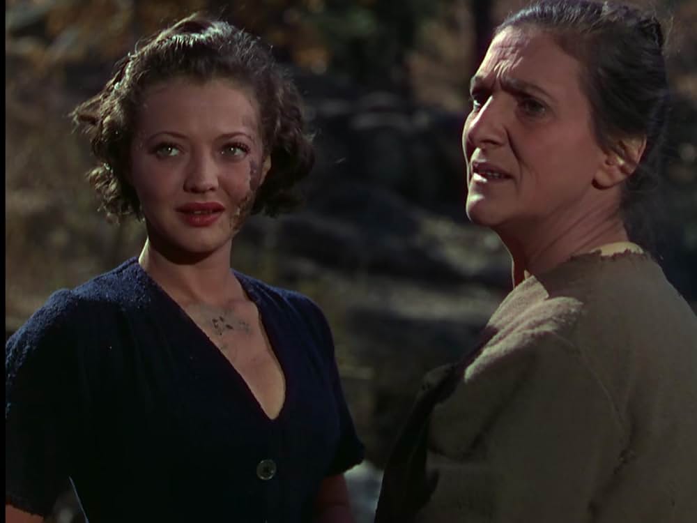 丘の一本松の画像