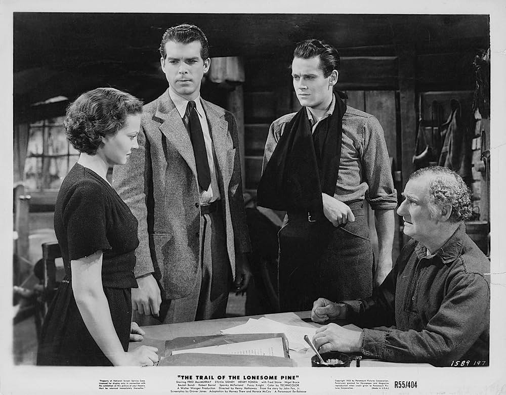 丘の一本松の画像