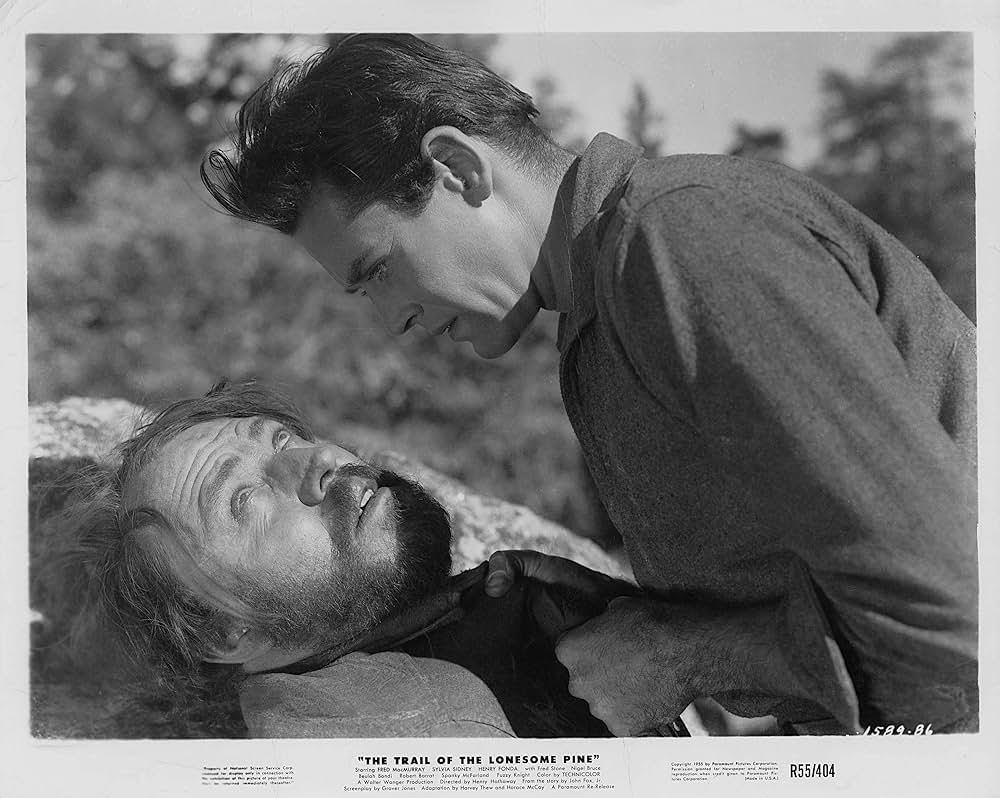 丘の一本松の画像