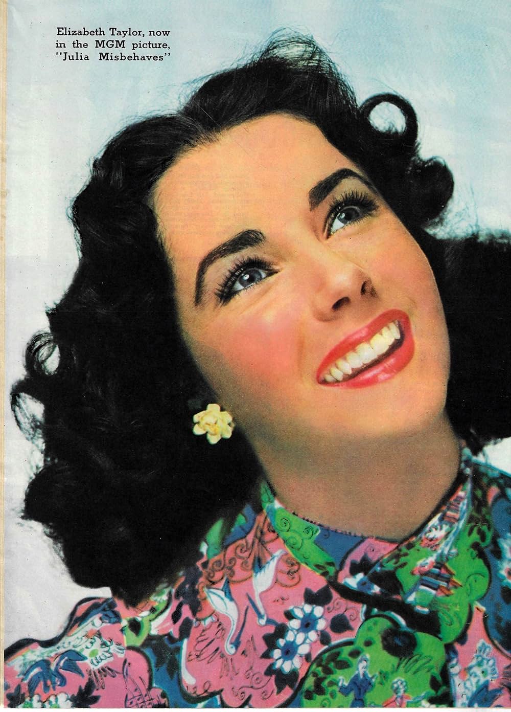 奥様武勇伝の画像