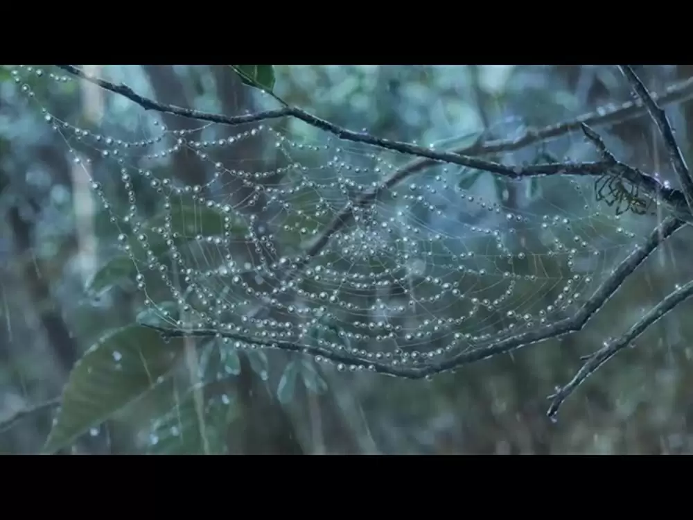 君の名は。の画像