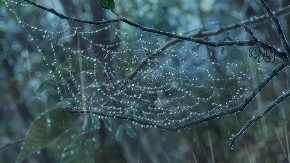 君の名は。の画像