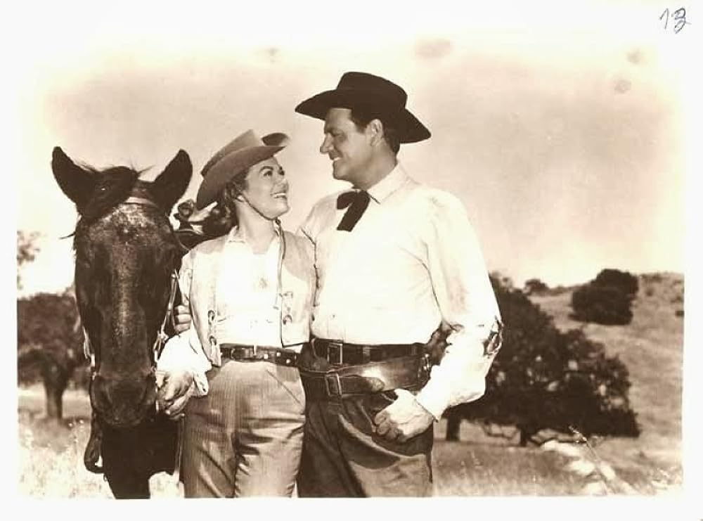 開拓者の血闘の画像