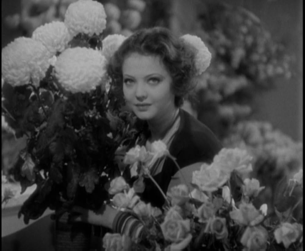 鉄窓と花束の画像