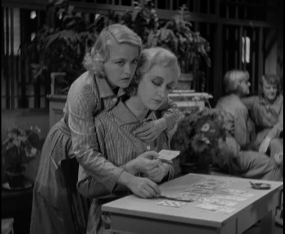 鉄窓と花束の画像