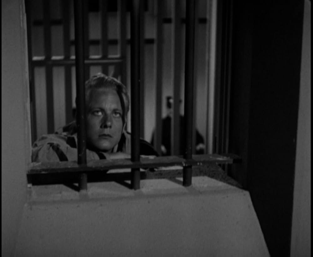 鉄窓と花束の画像