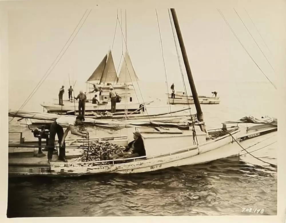 「希望の船」ゲイリー・クーパーの画像