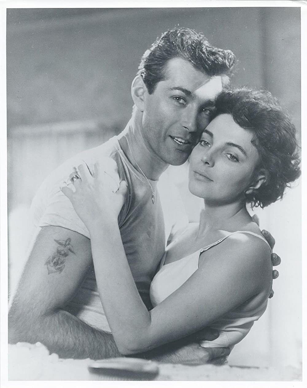 気まぐれバスの画像