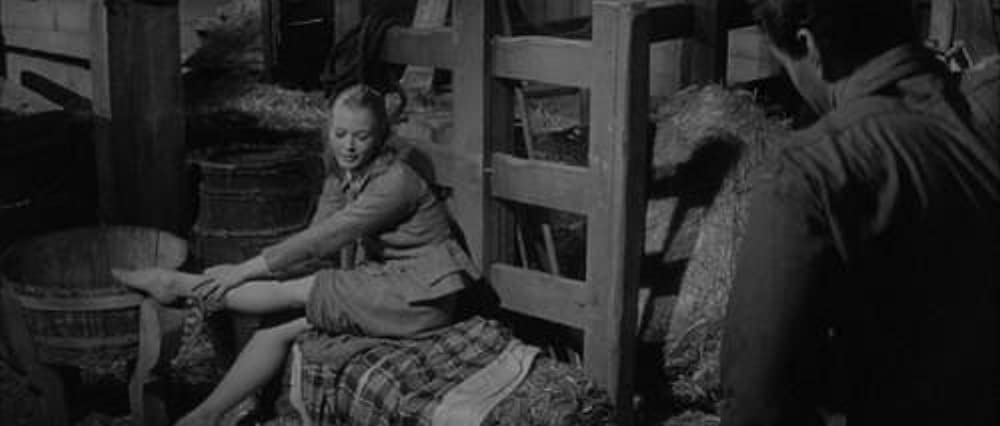 気まぐれバスの画像