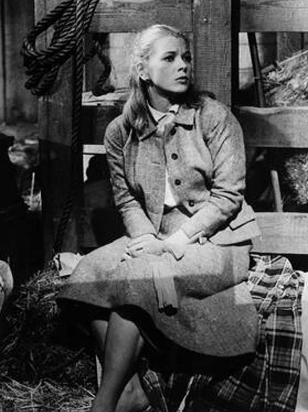 気まぐれバスの画像