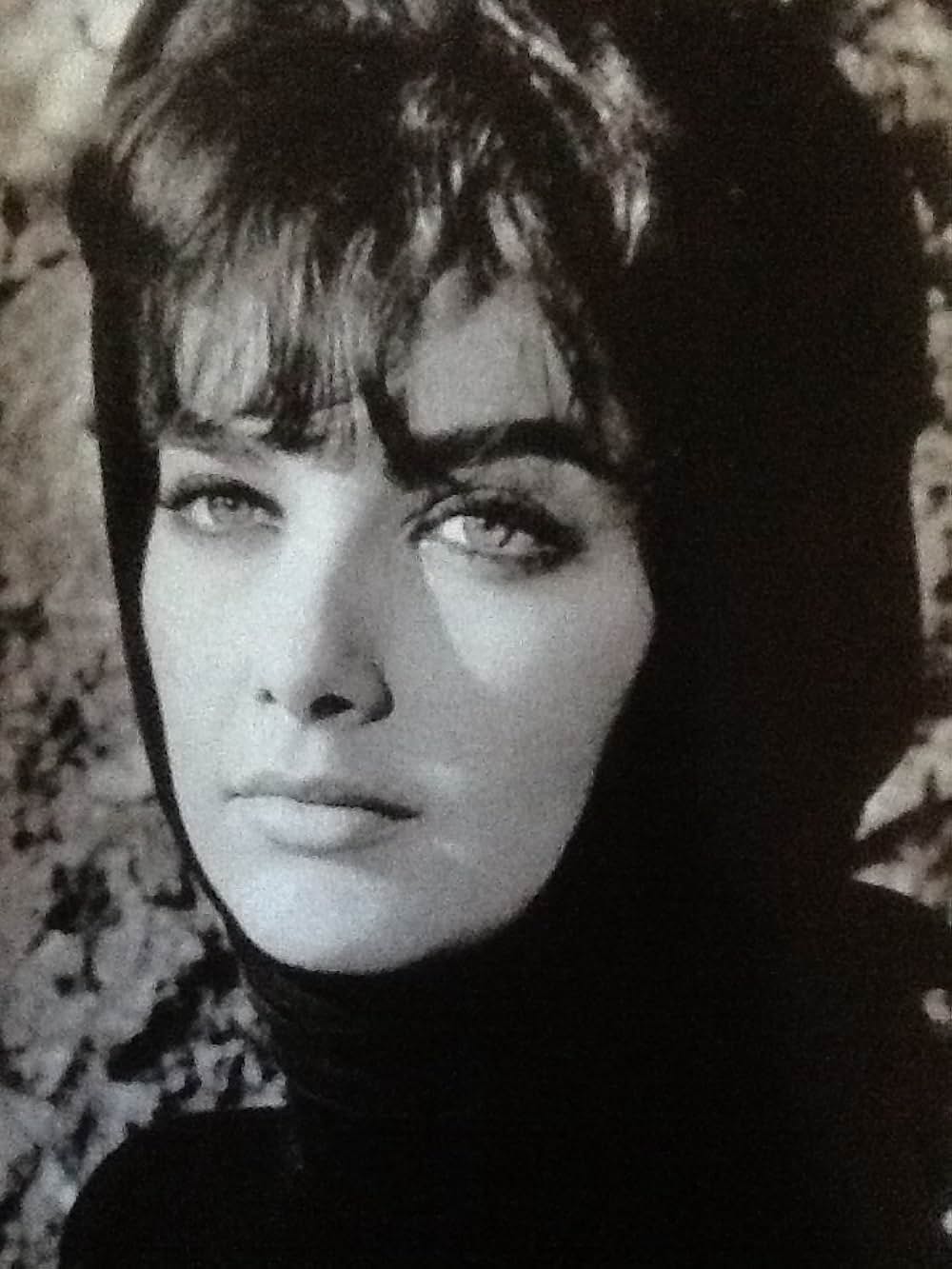 生きる情熱の画像