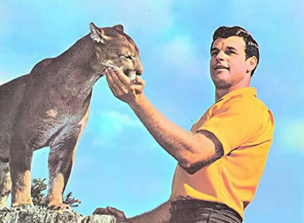 クーガー荒野に帰るの画像