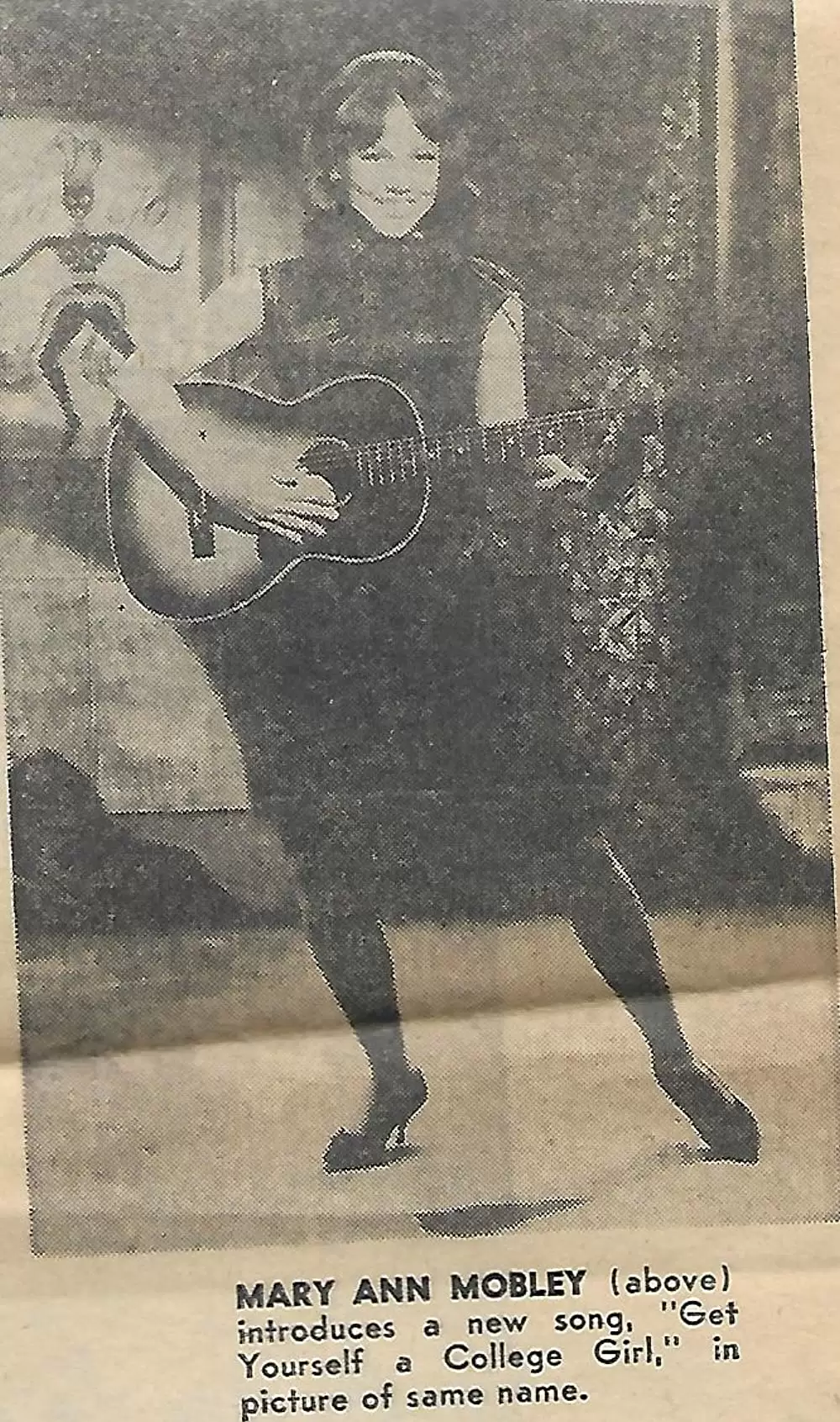 クレイジー・ジャンボリーの画像