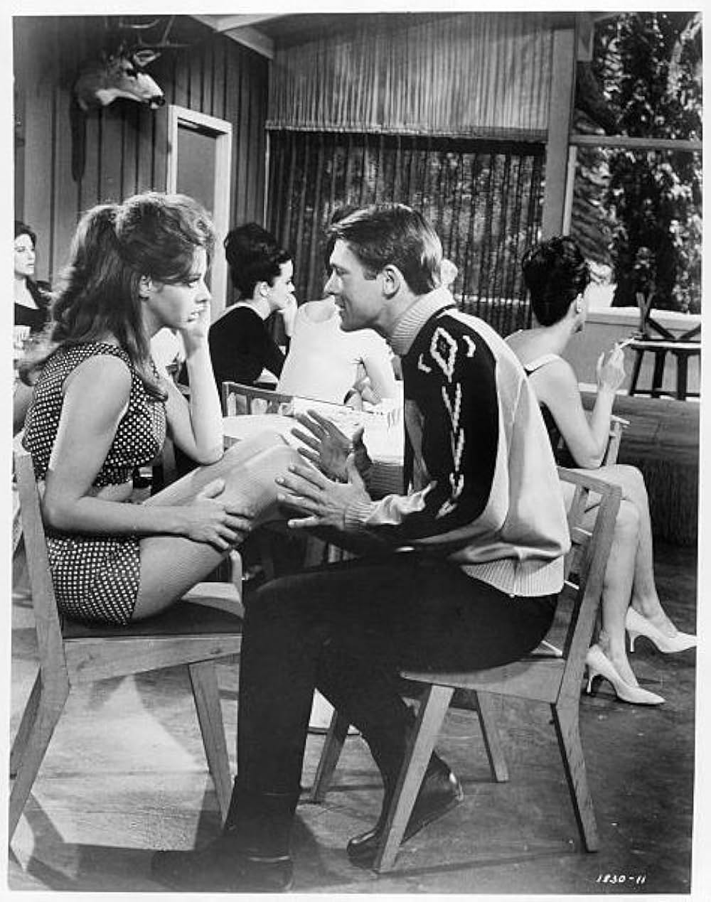 クレイジー・ジャンボリーの画像