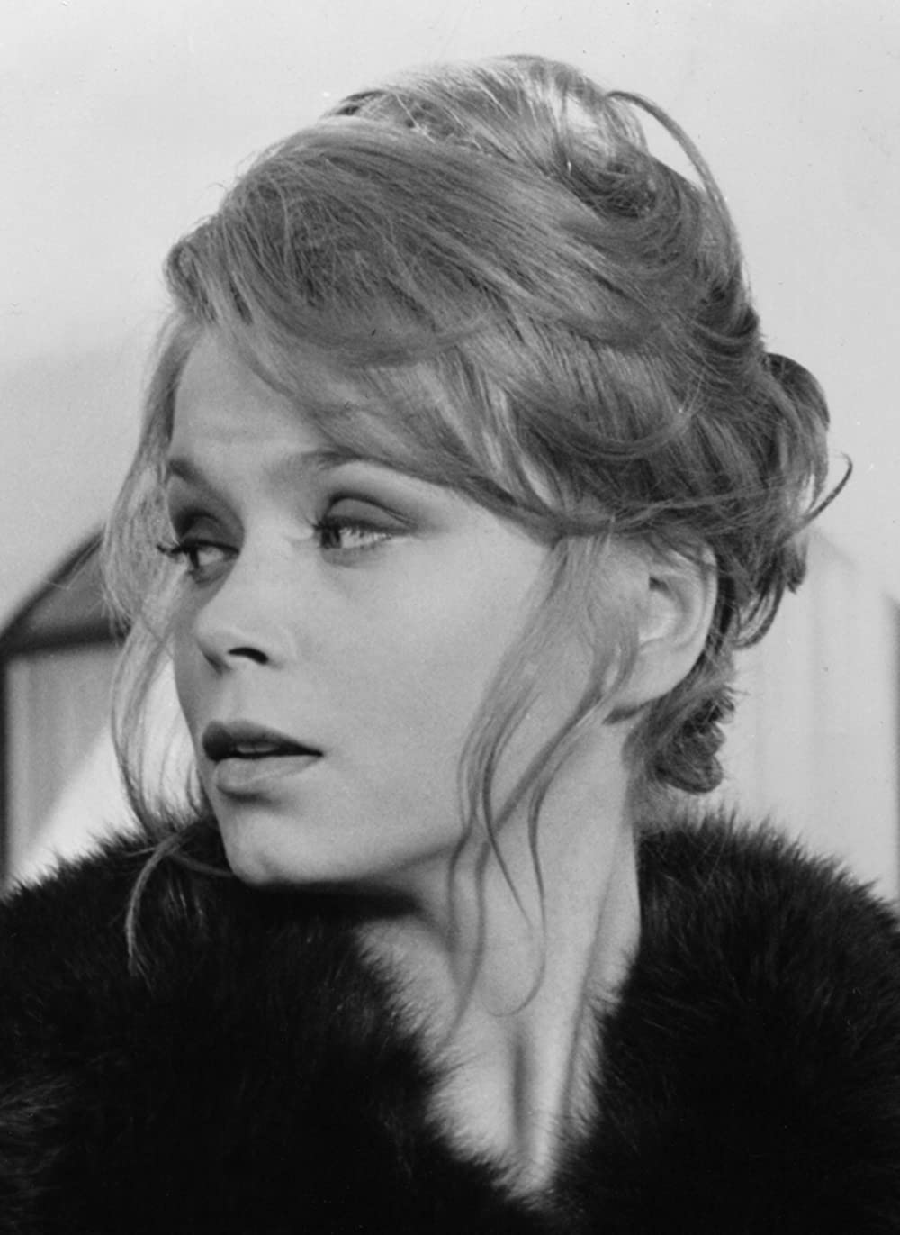 黒いジャガー／アフリカ作戦の画像