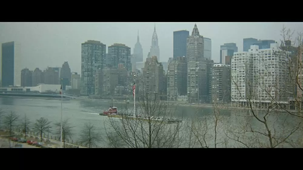 黒いジャガー／アフリカ作戦の画像