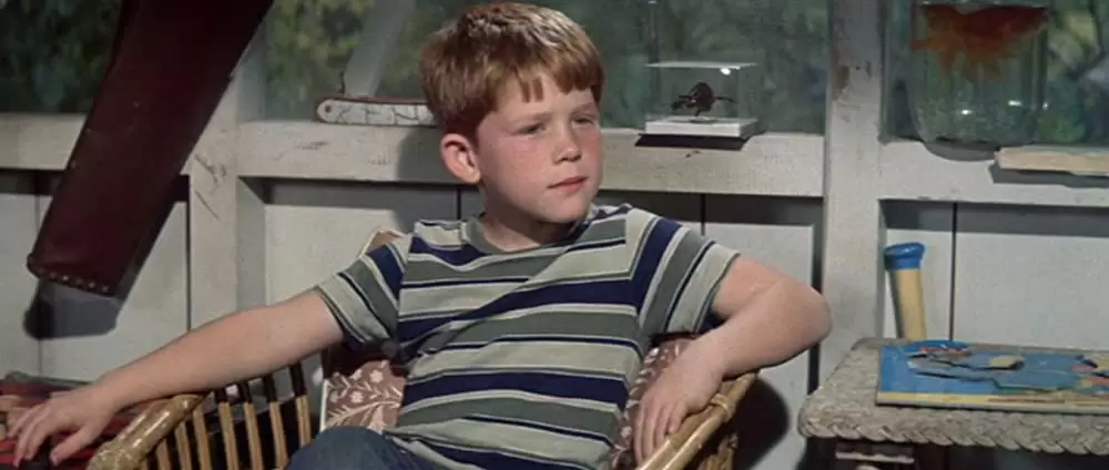 「けっさくなエディ」ロン・ハワードの画像