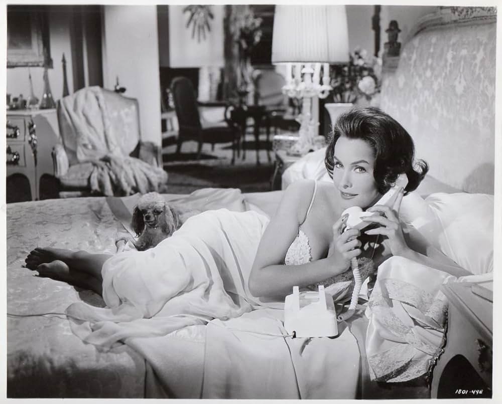 けっさくなエディの画像