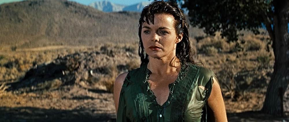 決闘コマンチ砦の画像