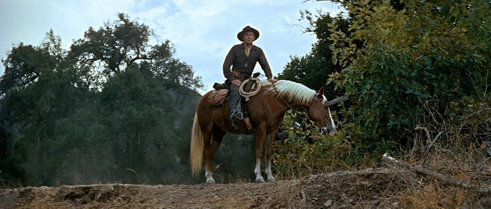 決闘コマンチ砦の画像