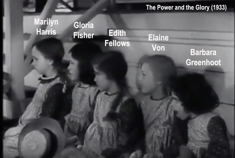 黄金の雨の画像