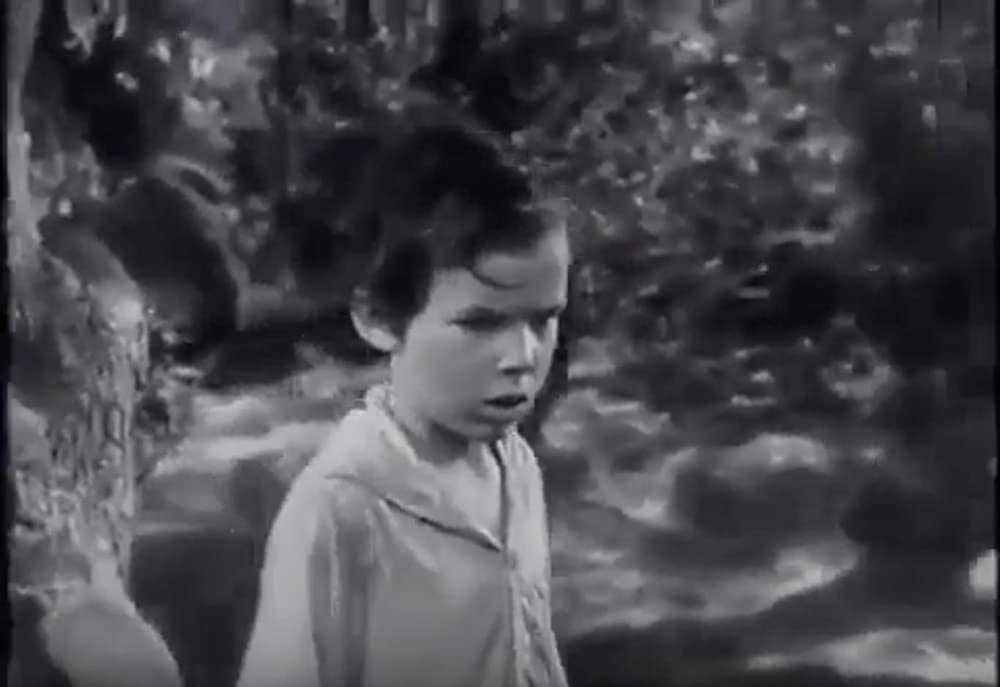 力と栄光の画像