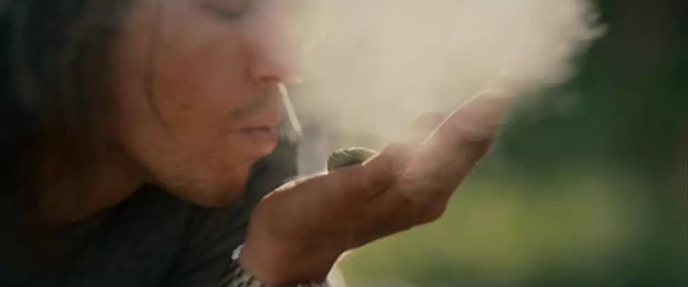 「スモーキング・ハイ」ジェームズ・フランコの画像