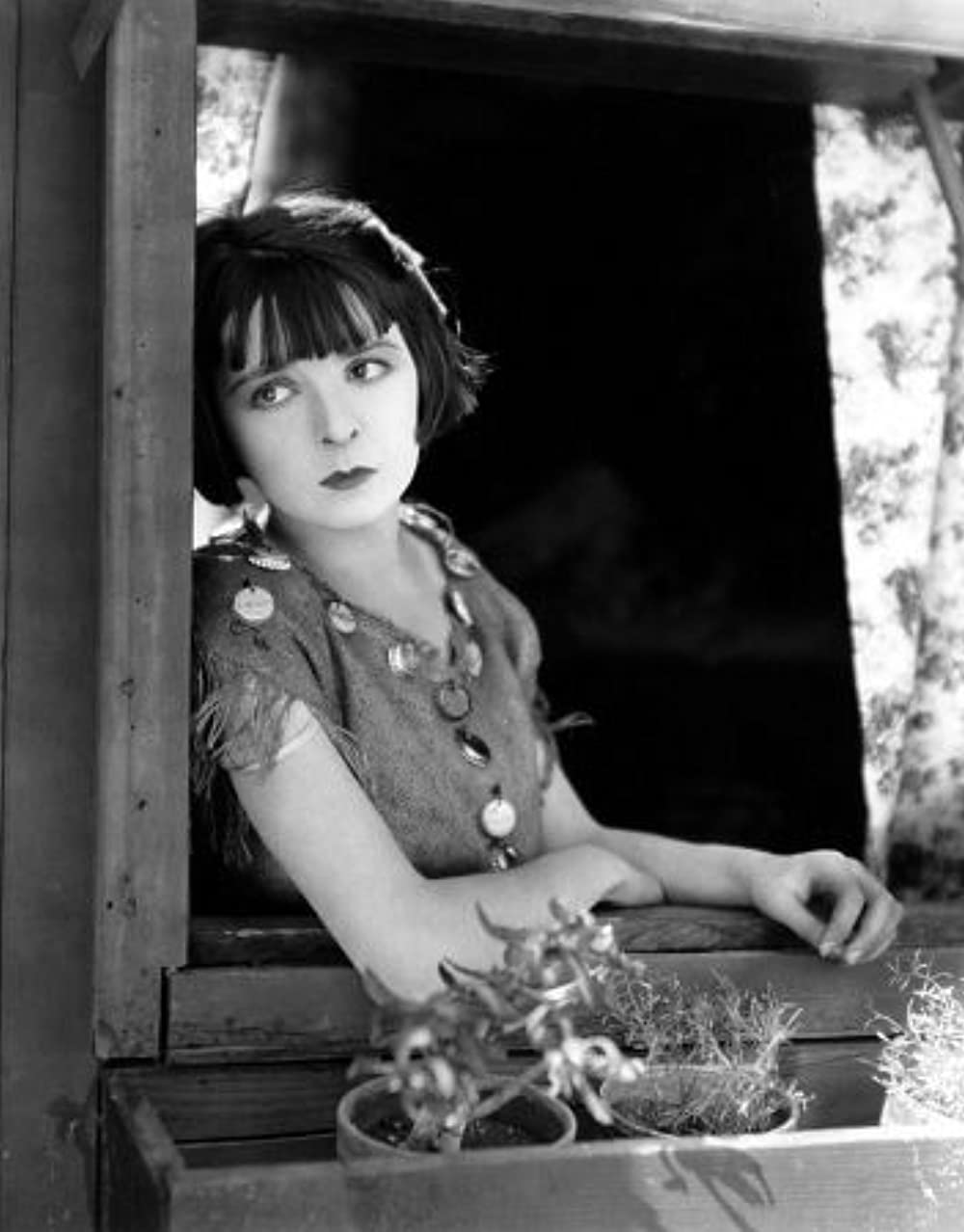 恋の征服の画像