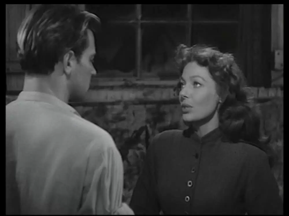 荒原の女の画像