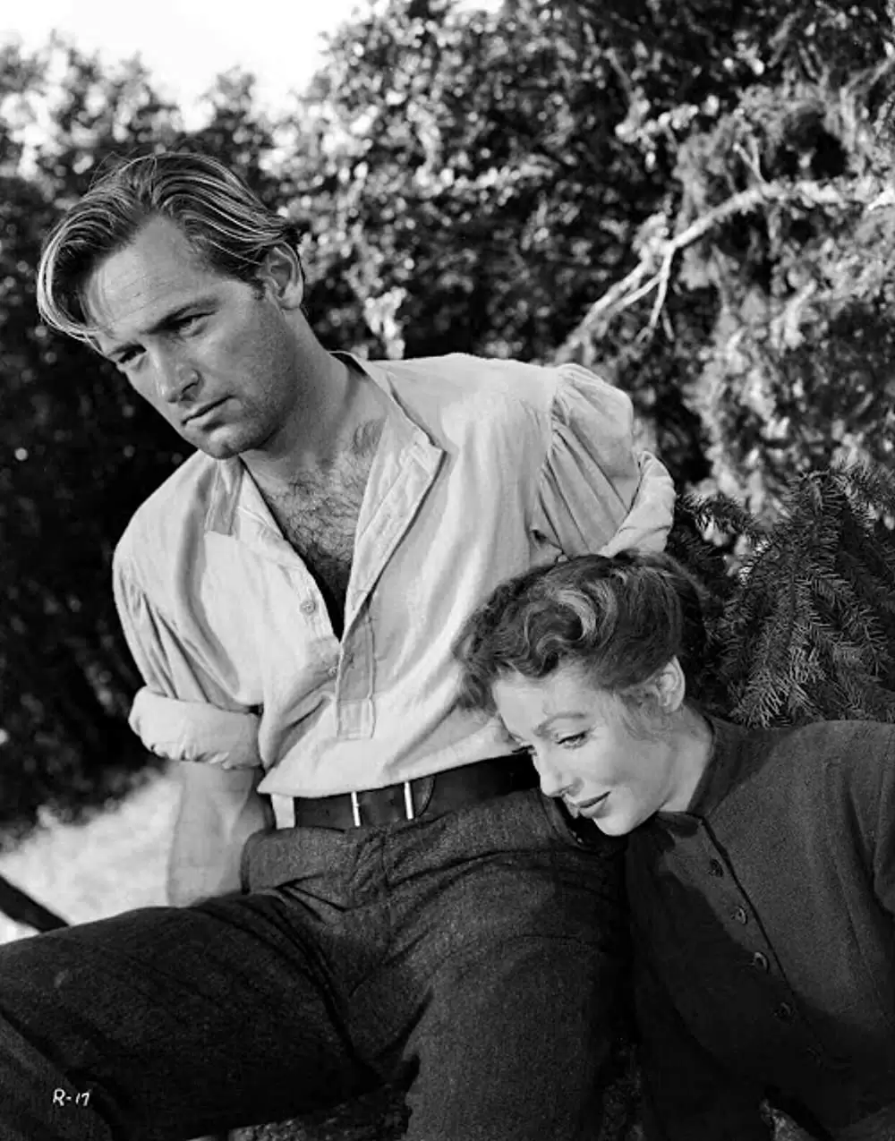 荒原の女の画像