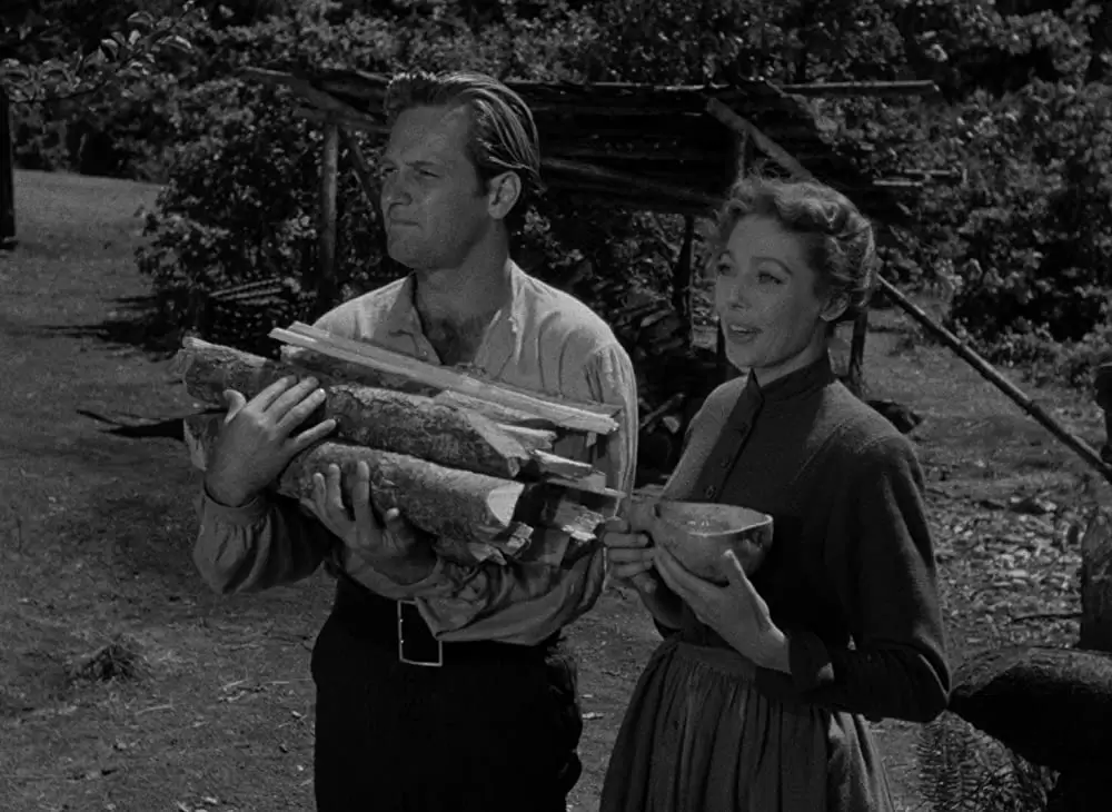 荒原の女の画像