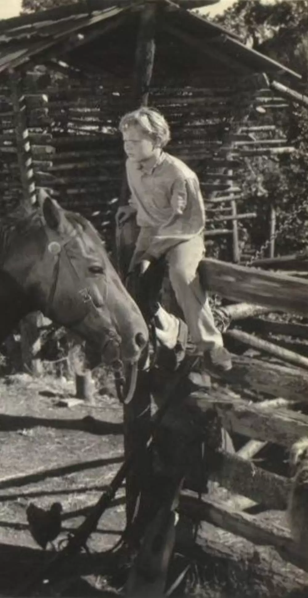 荒原の女の画像