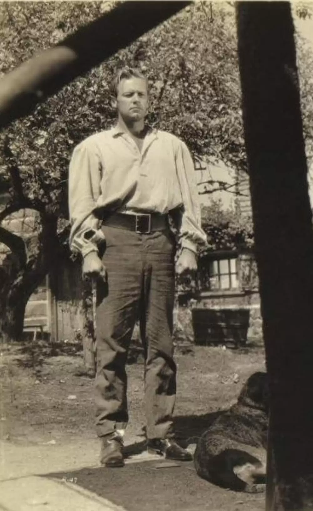 荒原の女の画像